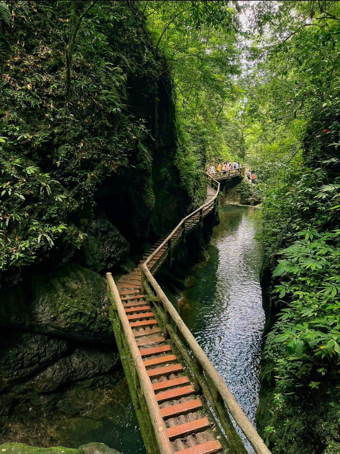 Chengdu 1-Day Tour: Dujiangyan Irrigation System & Mount Qingcheng - Image 5