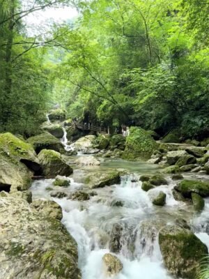 Chengdu 1-Day Tour: Dujiangyan Irrigation System & Mount Qingcheng