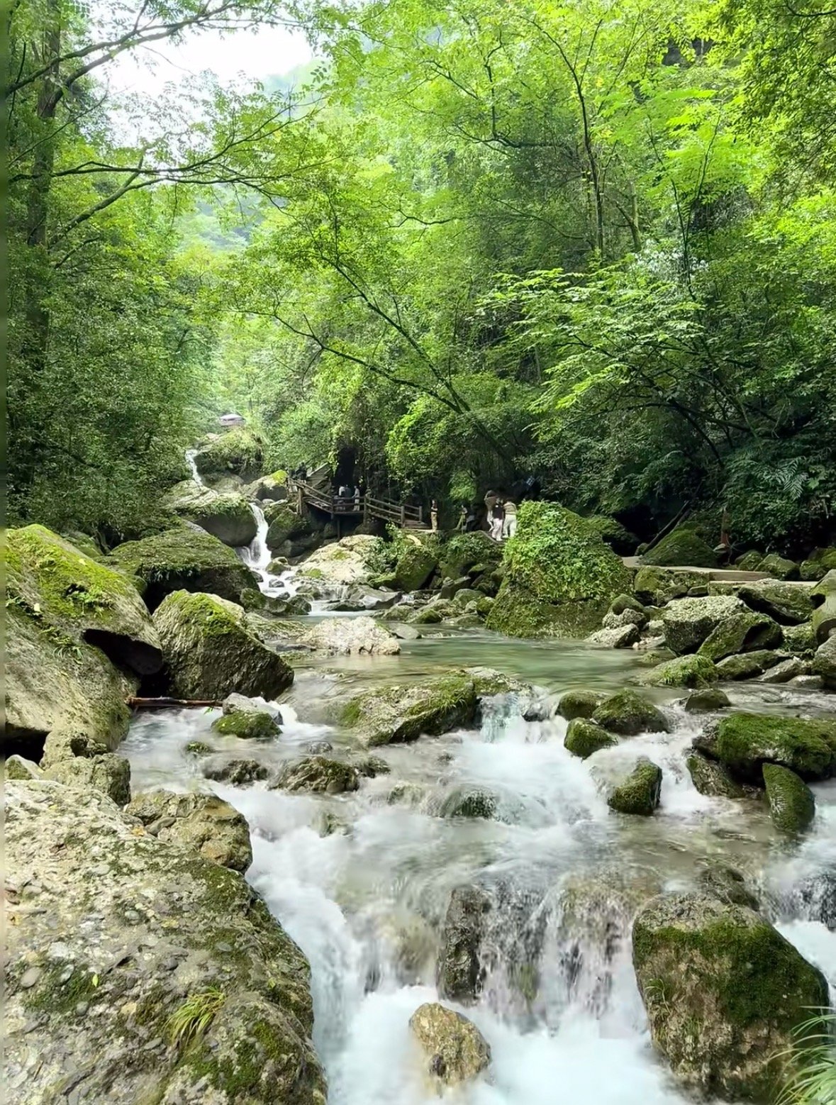 Chengdu 1-Day Tour: Dujiangyan Irrigation System & Mount Qingcheng