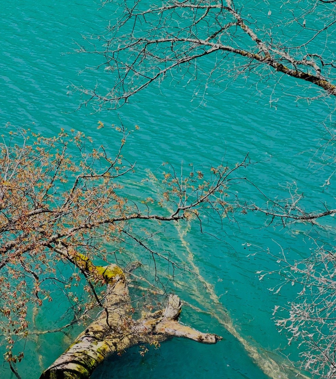 Chengdu 6-Day Tour: Jiuzhaigou & Huanglong by High-Speed Train - Image 4